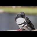 Ted Bertram - @TedBertram354 - Twitter