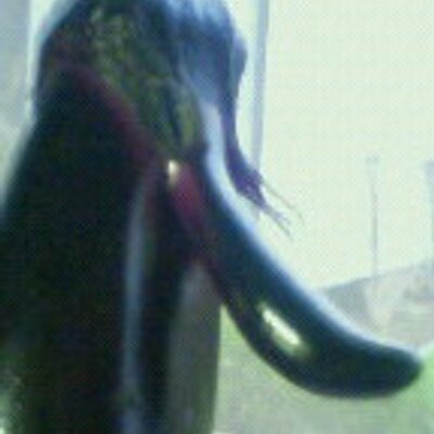 りっすん なんか楽しいことしたい Nicha Nicha Twitter りっすん なんか楽しいことしたい Nicha Nicha Twitter