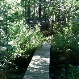 authenticpathwy's profile picture. 