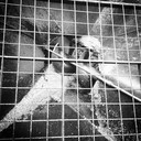 Val Maynard - @ValMaynard465 - Twitter