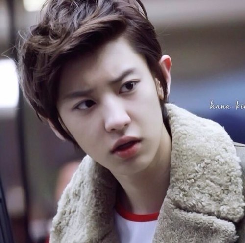 I am ro bot my name is PARK CHANYEOL   .