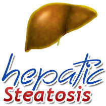 hepaticsteatosi's profile picture. The best diets, treatments and cures for hepatic steatosis (fatty liver disease) reviewed here. Get all the information you need to fight hepatic steatosis.