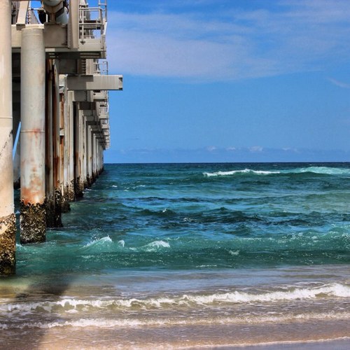 leeherbert1998's profile picture. 