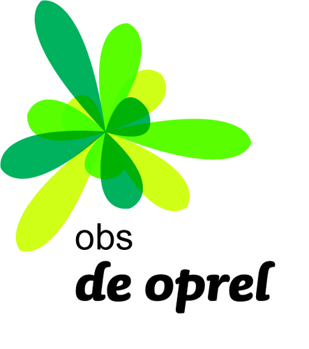obsdeoprel Profile Picture