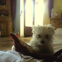 rita borgia  - @rita_borgia - Twitter