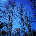 Boyd Buddy - @BoydBuddy673 - Twitter