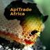 ApiTrade Africa (@apitradeafrica) Twitter profile photo