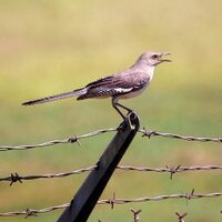 Lars Gaardsoe (@larsgaardsoe) 's Twitter Profile