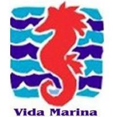 VidaMarinaSpain's profile picture. Tienda especializada en la comercialización, montaje y mantenimiento de acuarios marinos y de agua dulce. Dedicada a la acuariofilia desde los años 80.