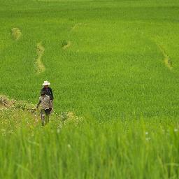 eugeniomondejar's profile picture. 