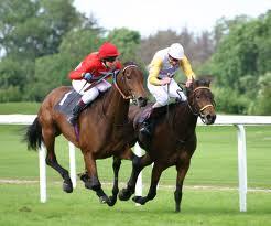 Free daily betting tips to help bash the bookies on a daily basis! Contacts within inner circle  #Winners