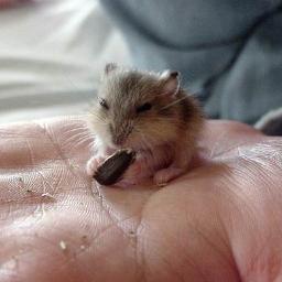 Zoneofsoft's profile picture. 