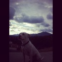 Kirk Jarrett - @KirkJarrett489 - Twitter