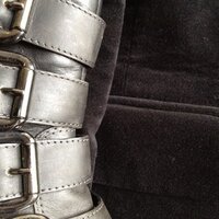 Caroline Kruit (@cc_dax) 's Twitter Profile