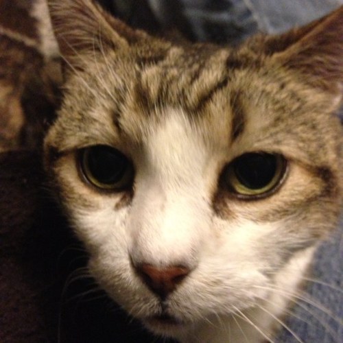 mkwanc's profile picture. 