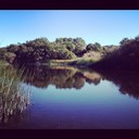 Damien Dalton - @DamienDalton736 - Twitter