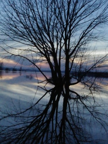 anabelsalce's profile picture. 