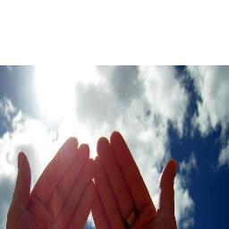 BnAlnqeb2012's profile picture. 