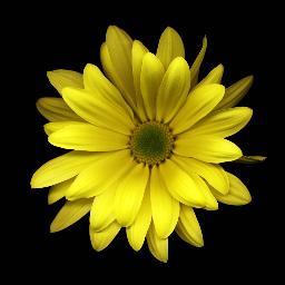 urvimathur's profile picture. 