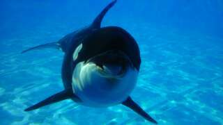 jrol3's profile picture. 