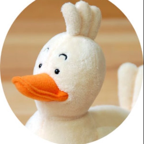 hiroko57's profile picture. R6派遣　在外教育受験中