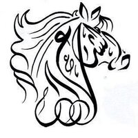 Al Shira'aa Stables (@alshiraaa) 's Twitter Profile