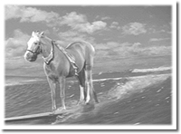 Scubydo_ny's profile picture. Telling you the way it is. Straight from the horses mouth. Repubtilians are ALL fucking morons and criminals! Don't SuperSpread on me! 🍹 #Resist 🌊🇺🇦