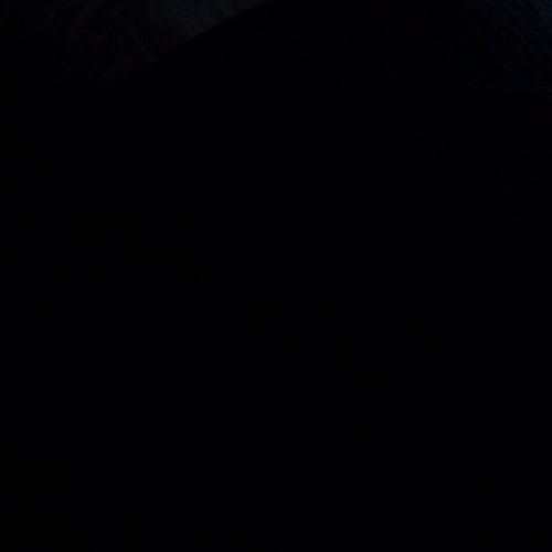 MegaBieber26's profile picture. 