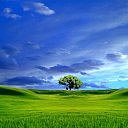 Взаимный фолловинг, RuFollowBack