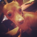 Howard Jesus - @HowardJesus830 - Twitter