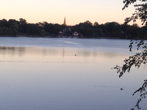 masonmorton88's profile picture. 