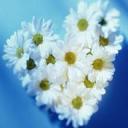 Взаимный фолловинг, RuFollowBack
