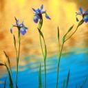 shevchenko89's profile picture. Взаимный фолловинг, RuFollowBack