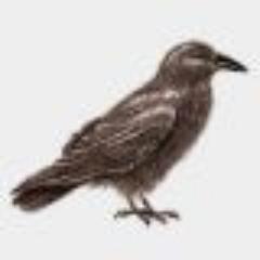 ErikSpringelkam's profile picture. 