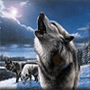 Взаимный фолловинг, RuFollowBack