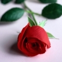 Взаимный фолловинг, RuFollowBack