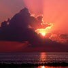 Взаимный фолловинг, RuFollowBack