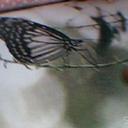 del reyes - @batoetolove - Twitter