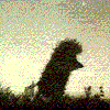 Взаимный фолловинг, RuFollowBack