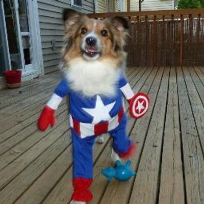 Masako Yokota Ishii Torol Twitter