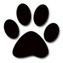 Robert Garfield - @InvisiblePaws - Twitter