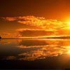 Взаимный фолловинг, RuFollowBack
