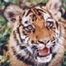 Сергей Анисимов (@batareika85) Twitter profile photo