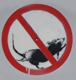 News & Info on Closing the Pearl Bay Ave Rat Run in Beauty Point for good!. 'Follow' on Twitter (will #FollowBack) or 'Like'