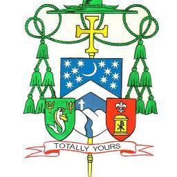 Catholic_SVG's profile picture. Catholic Diocese of Kingstown is a diocese of the Latin Rite of the Roman Catholic Church. The diocese encompasses the former British dependency of Kingstown.