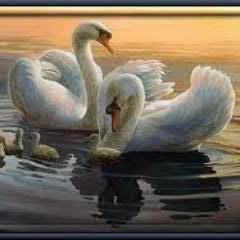 Keriman10's profile picture. 