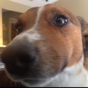 Joshua Clouse - @Magnskeet - Twitter