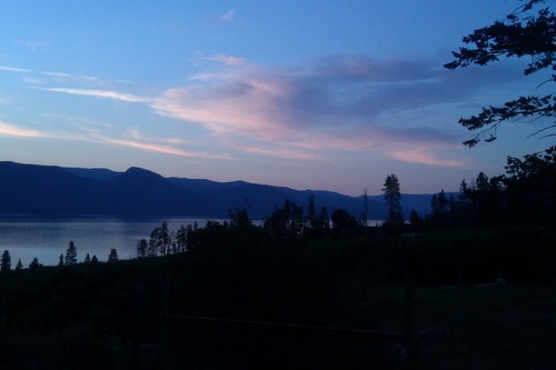 shelbyallain's profile picture. 