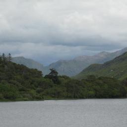 deewhite004's profile picture. 