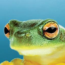 J'ai neuf ans, je suis fasciné par les 8 750 000 espèces animales sur Terre mais des fois je perds espoir en la race humaine.